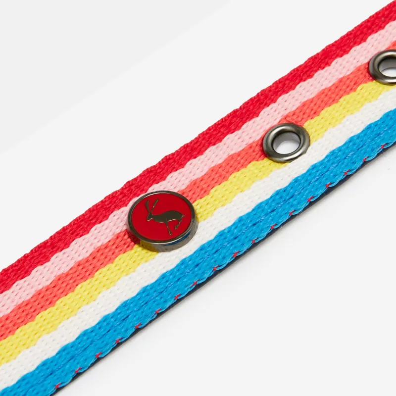 Joules Rainbow Dog Collar-1